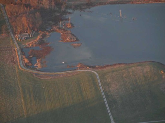 Aerial view of Whooping Crane wintering area