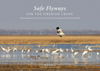 Safe Flyways for the Siberian Crane