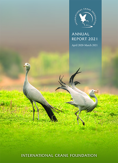 Cover of Annual Report 2021 with two dancing Blue Cranes.