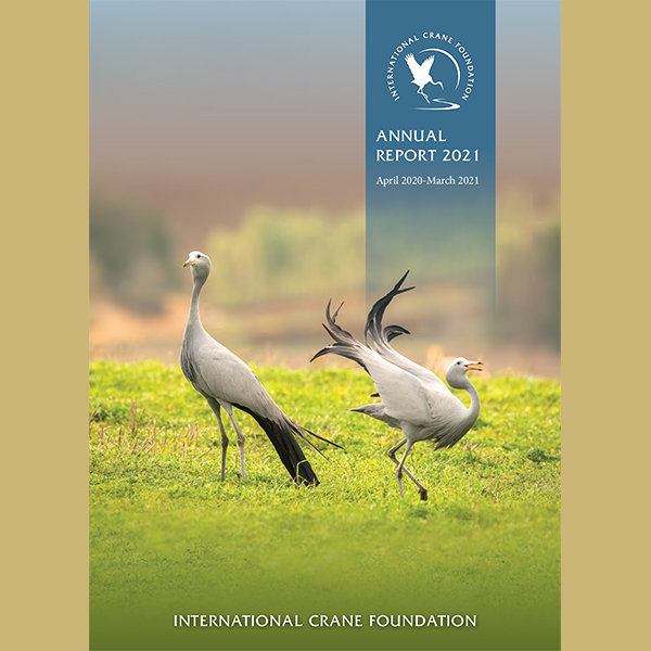 Cover of Fiscal Year 2021 Annual Report