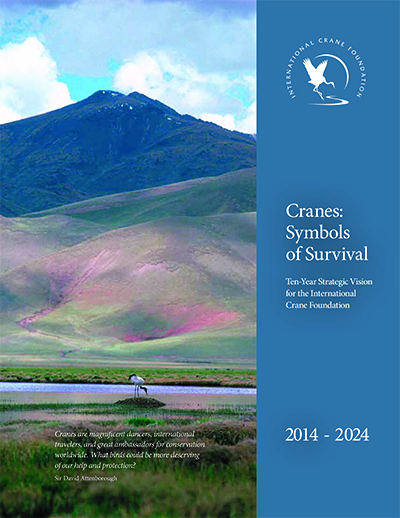 Cranes: Symbols of Survival