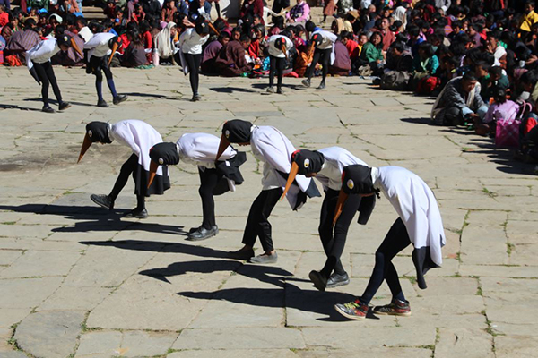 Black-necked Crane dance at the Bhutan Crane Festival.
