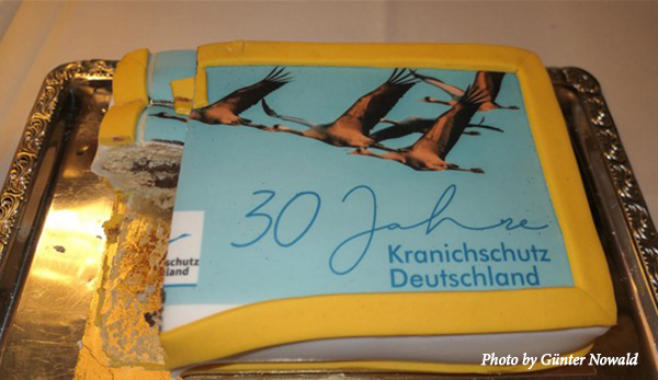 A partially eaten cake on a gold tray. The cake is decorated with flying Cranes and text celebrating Crane Conservation Germany's 30 years. Text: Photo by Gunter Nowald