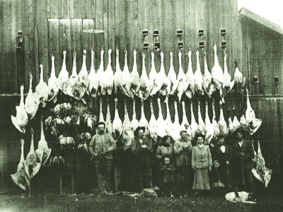 Market hunting Malheur Oregon 1906