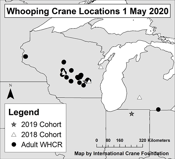 May 2020 Easter Whooping Crane Population Map