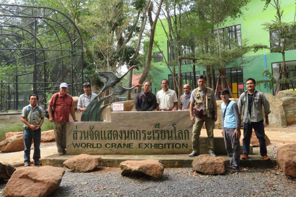 Sarus Crane reintroduction Thailand