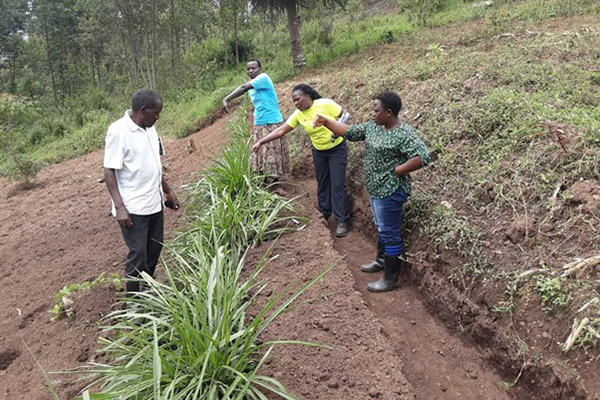A group of people admire their erosion control efforts on a hillside.