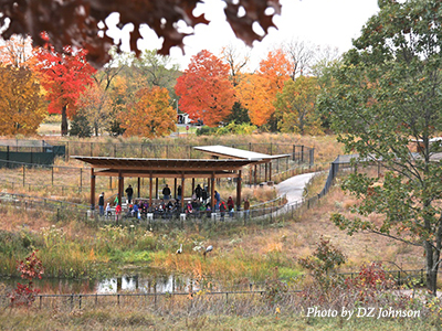 Autumn colors frame the Wattled Crane exhibit at the International Crane Foundation.