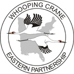 Report a Whooping Crane sighting