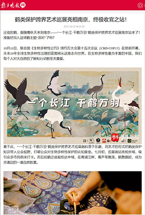 Screen shot of article on outreach in Nanjing, China, showing illustration of five crane species found in China and photo of art activity from event.