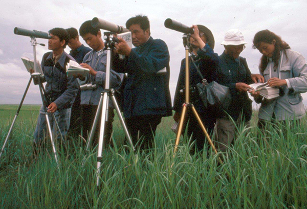 Crane and waterbird surveys at Zhalong Marsh 1983.