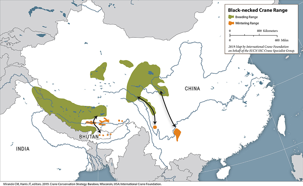 Black-necked Crane range map
