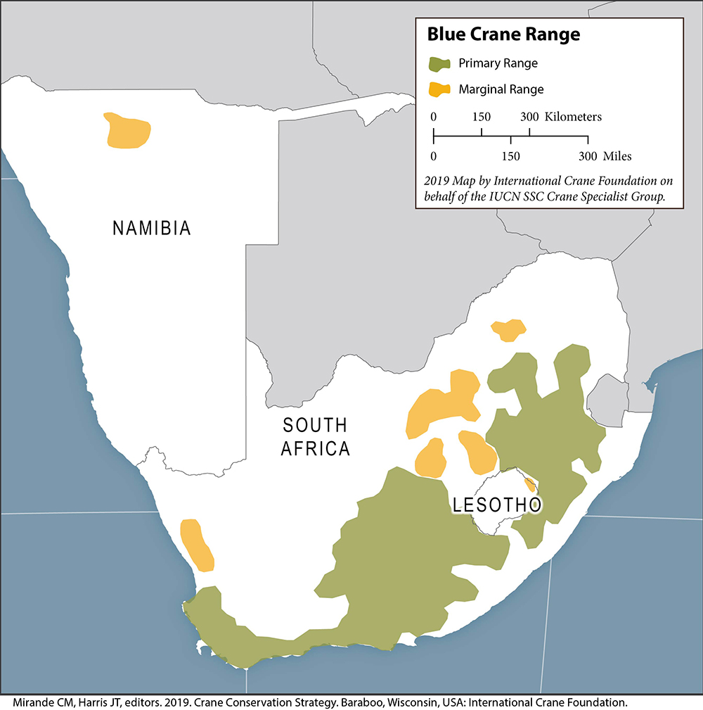 Blue Crane range map.