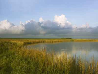 Texas Coastal Marsh