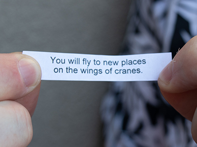 You will fly to new places on the wings of cranes.