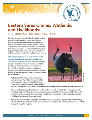 Eastern Sarus Cranes, Wetlands and Livelihoods