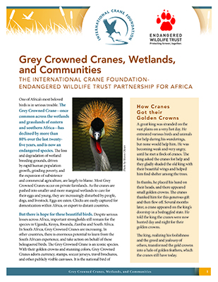 Grey Crowned Cranes, Wetlands and Communities Endangered Wildlife Trust Partnership