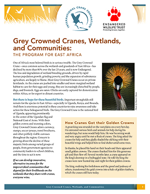 Grey Crowned Cranes, Wetlands and Communities