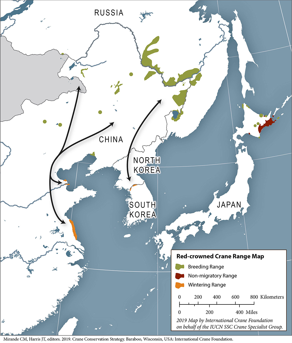 Red-crowned Crane range map