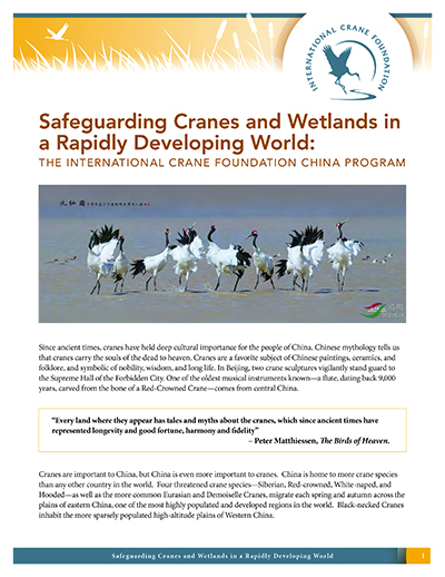 Safeguarding Cranes and Waterbirds in a Rapidly Developing World