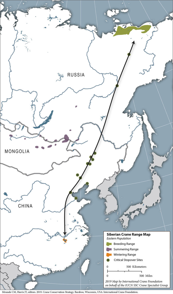 Siberian Crane range map