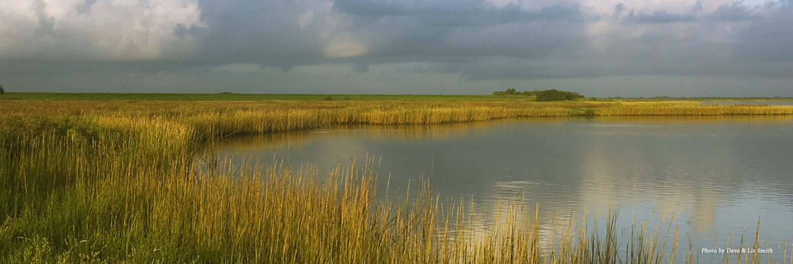 Texas coastal wetlands. Photo by Dave and Liz Smith.