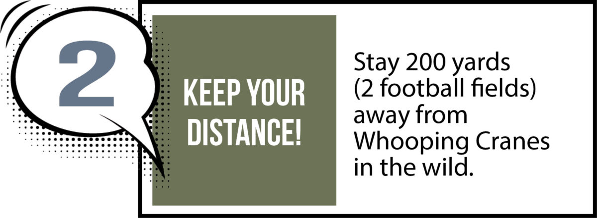 Keep your distance!