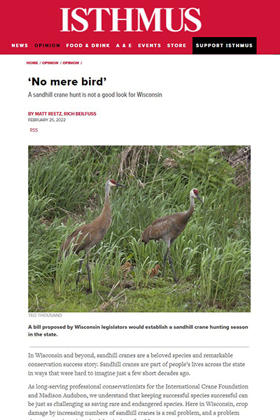 Isthmus article 'No mere bird'