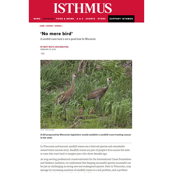 Isthmus article 'No mere bird'