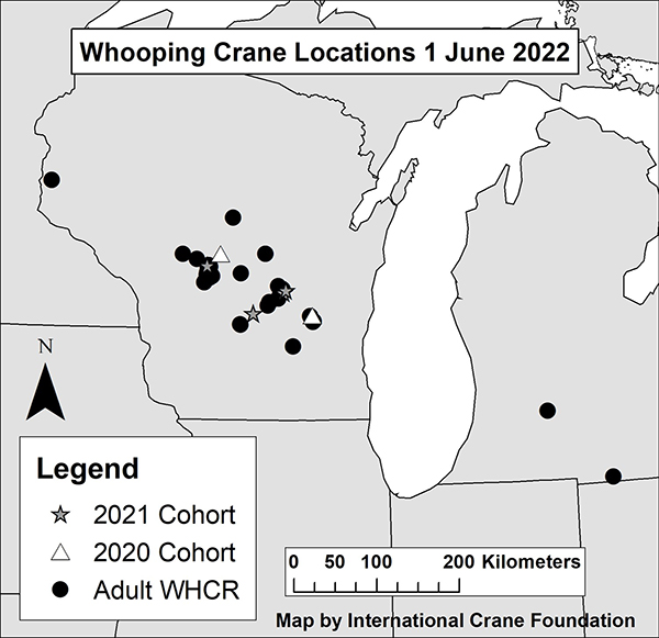 Whooping Crane locations 1 June 2022