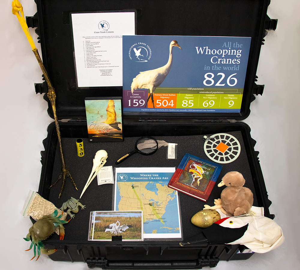 Whooping Crane Trunk contents