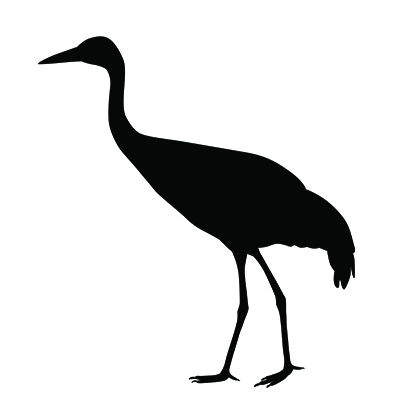 Crane silhouette 