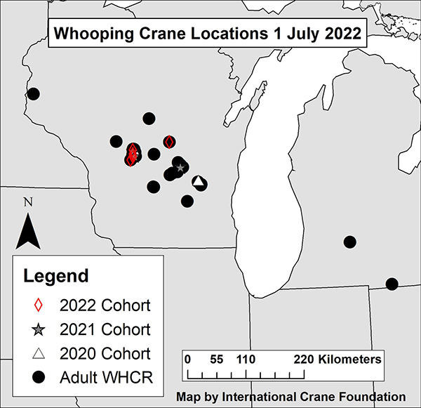 Whooping Crane Locations 1 August 2022