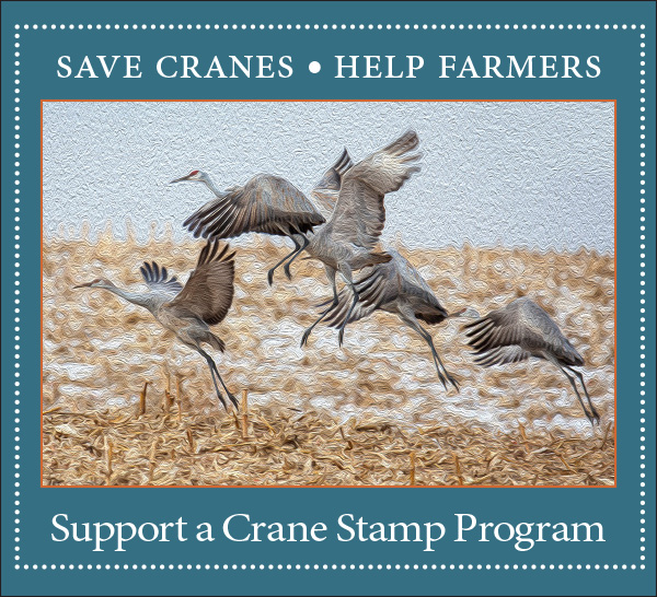 Save Cranes, Help Farmers, Support a Crane Stamp Program