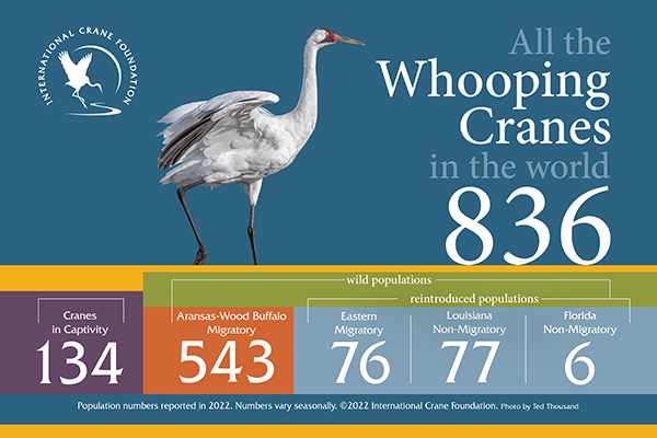 All the Whooping Cranes in the World 2022