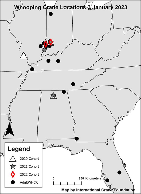 Whooping Crane Locations January 3, 2023