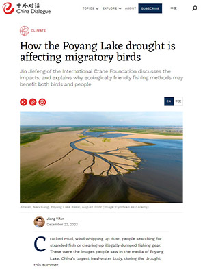 How the Poyang Lake drought is affecting migratory birds