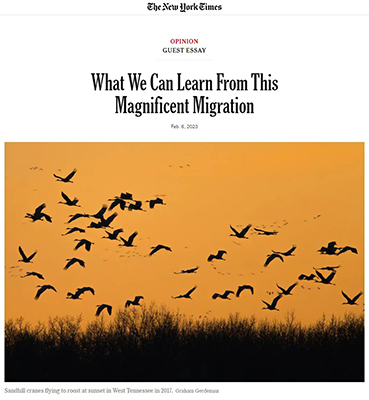 What we can learn from this magnificent migration