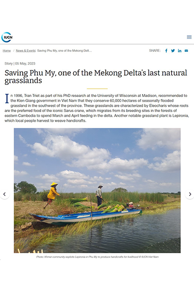 Saving Phu My, one of the Mekong Delta's last natural grasslands