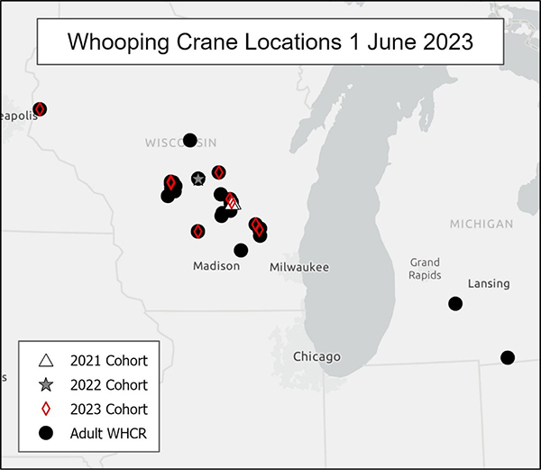 Whooping Crane Locations 1 June 2023
