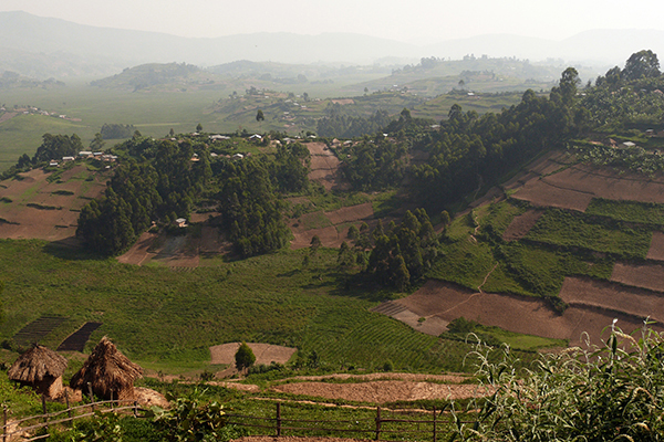 Agricultural land, Uganda