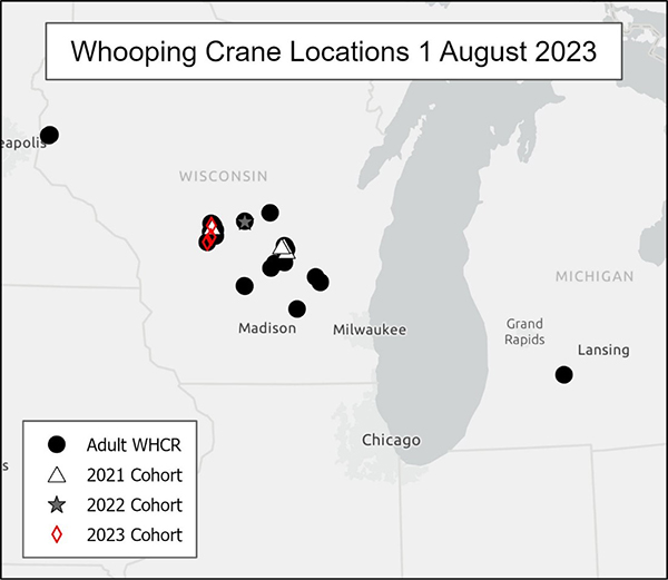 Whooping Crane Locations 1 August 2023