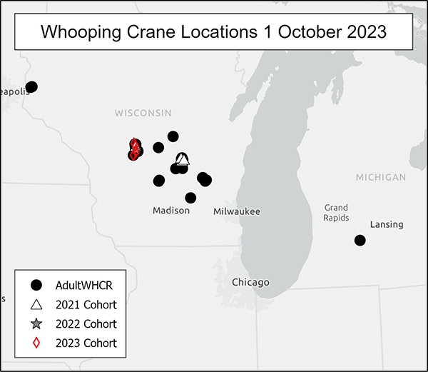 Whooping Crane Locations 1 October 2023