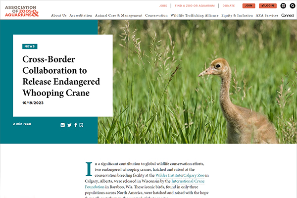 Cross-Border Collaboration to Release Endangered Whooping Crane, Association of Zoos and Aquariums