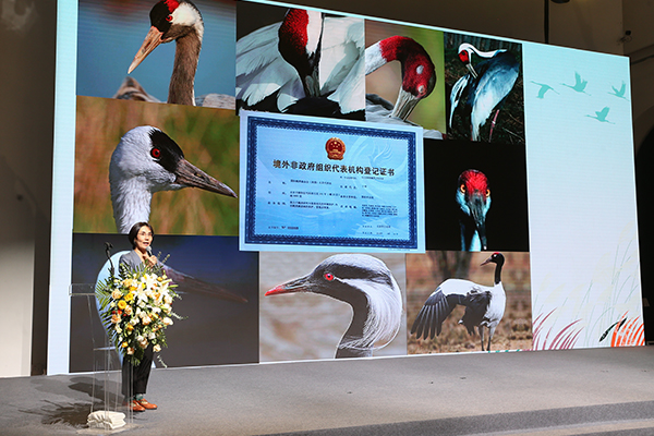50th Anniversary Celebration, Beijing, China, Yu Qian presentation