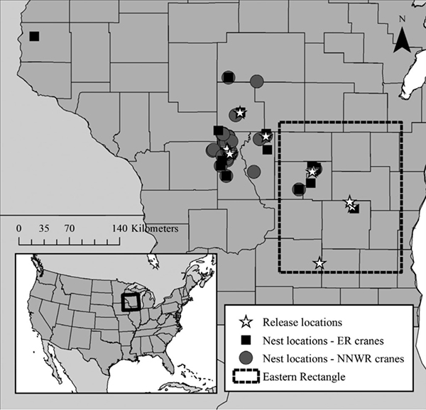 Map showing release and nest locations of Whooping Cranes in Wisconsin