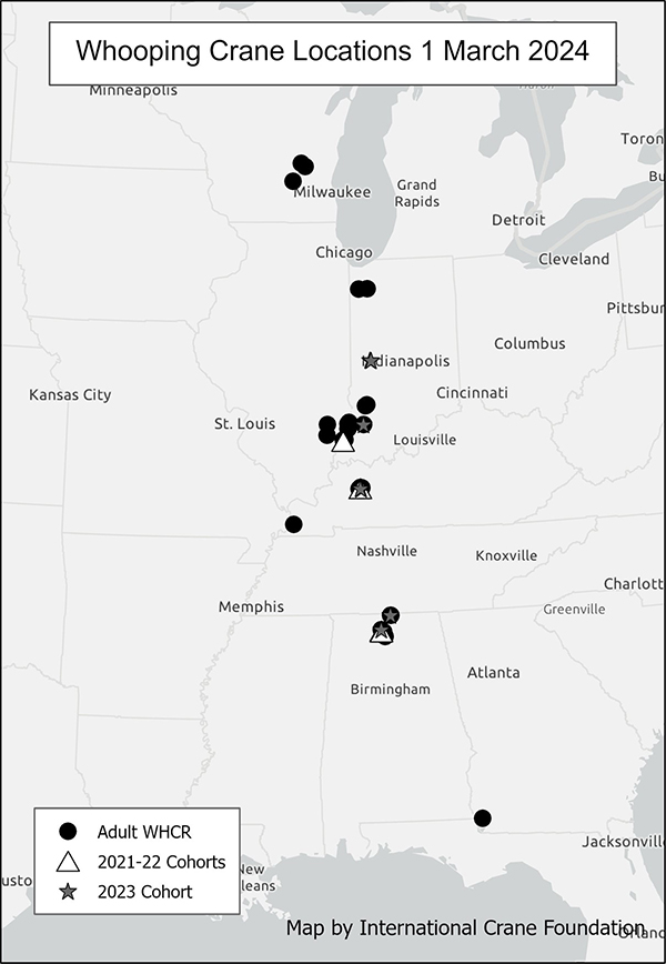 Whooping Crane Locations 1 March 2024