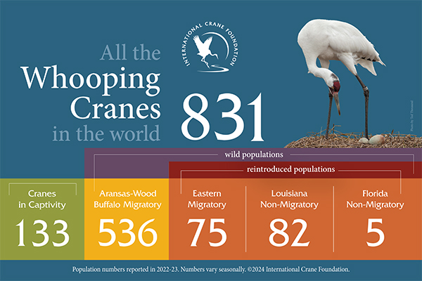 All the Whooping Cranes in the world