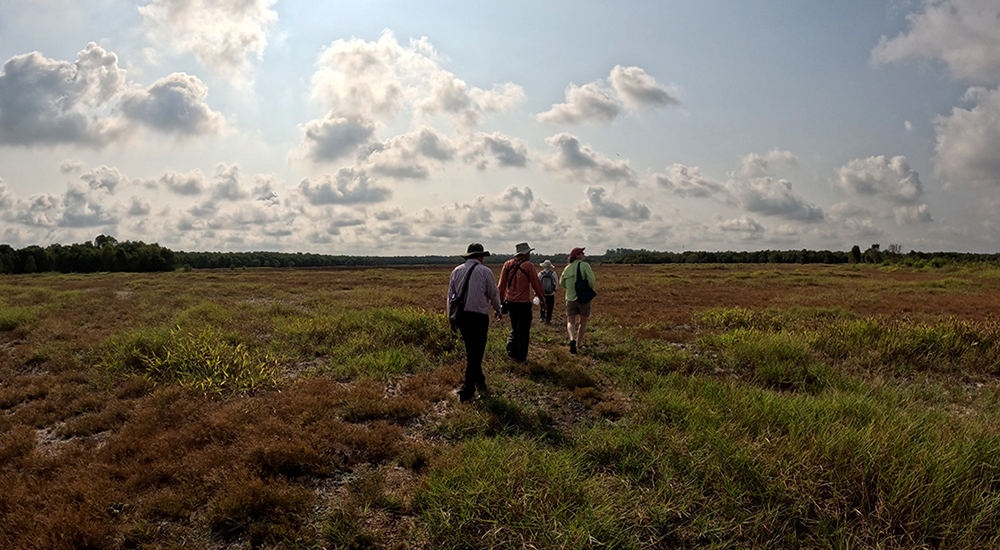 The field team explores the Sarus Crane reintroduction site at Tram Chim National Park. Diana Boon/International Crane Foundation