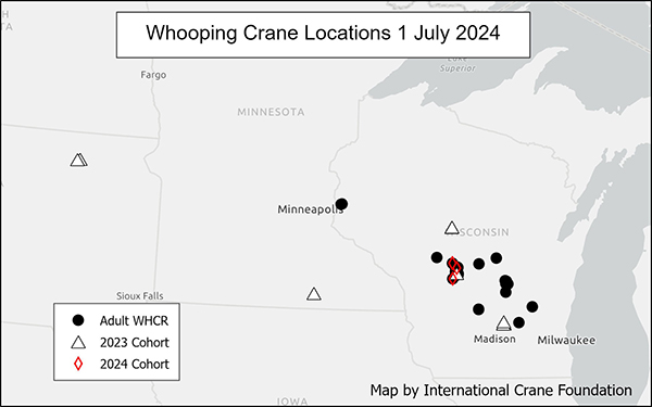 Whooping Crane Locations 1 July 2024